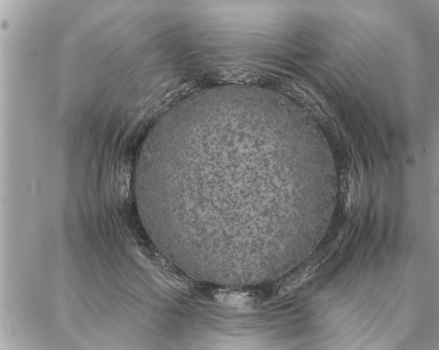 X0000087360602200705041857