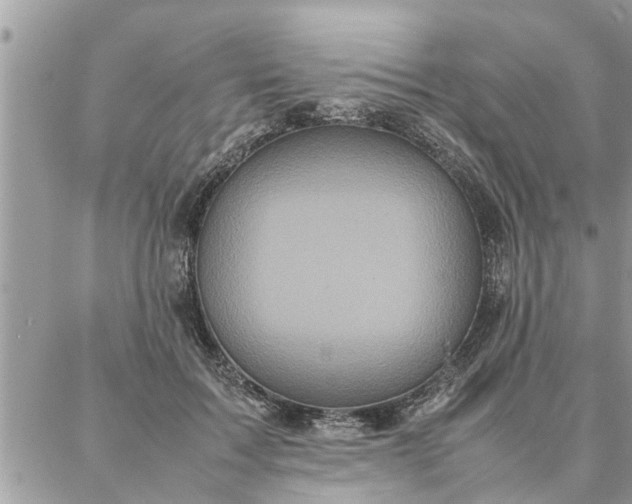 X0000087360603200705041857