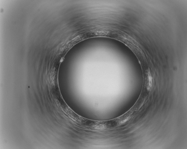 X0000087360604200705041857