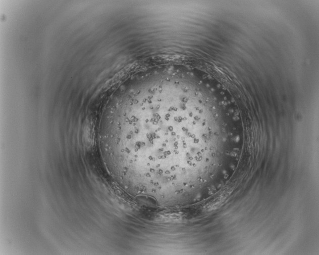 X0000087360606200705041857