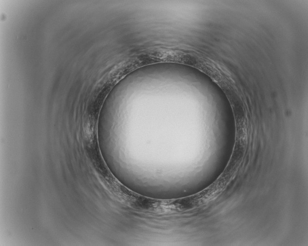 X0000087360607200705041857