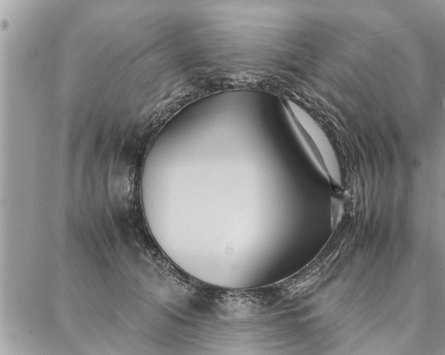 X0000087360608200705041857