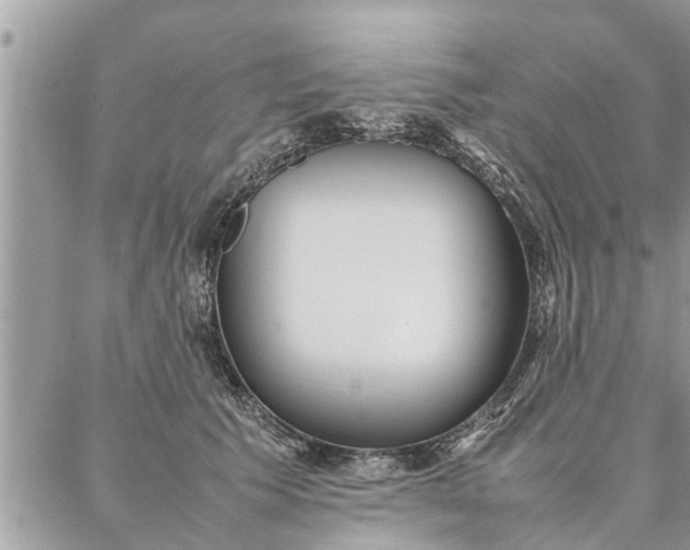 X0000087360609200705041857