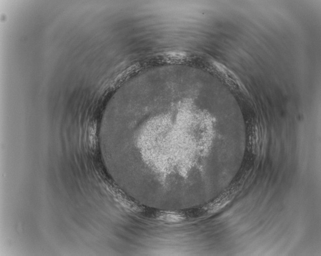 X0000087360610200705041857