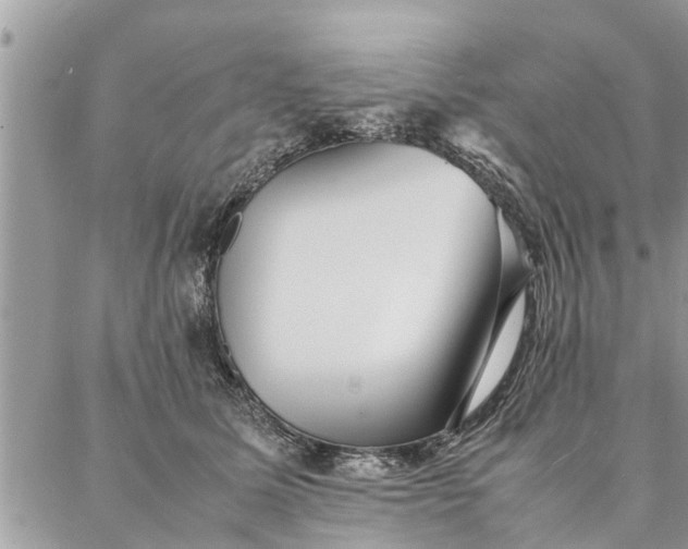 X0000087360611200705041857