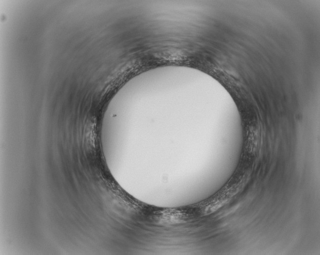 X0000087360612200705041857