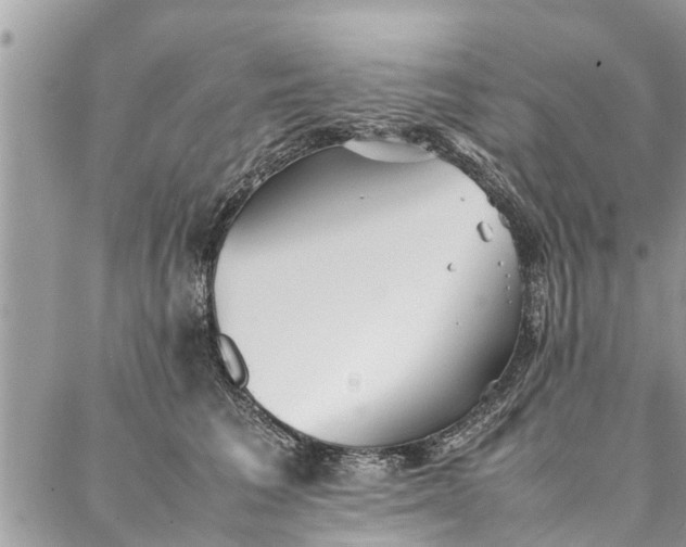 X0000087360613200705041857