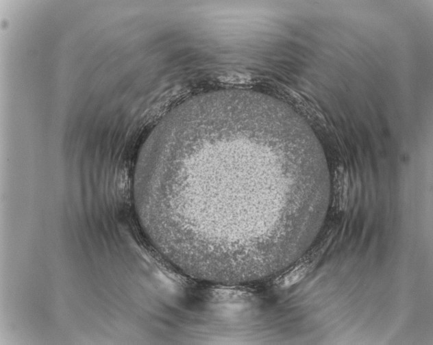 X0000087360614200705041857