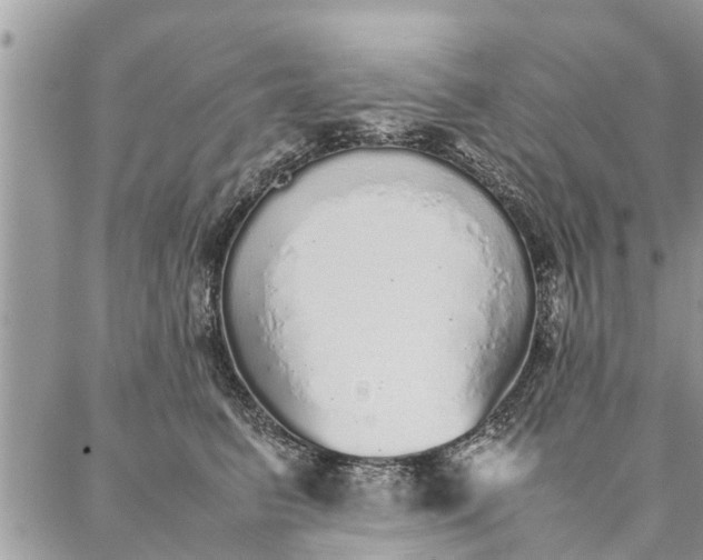 X0000087360615200705041857