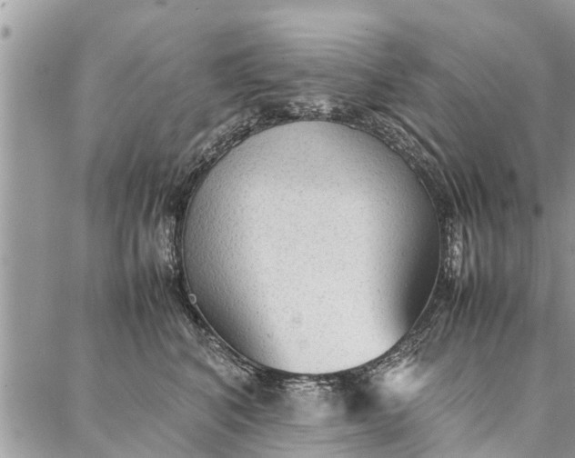 X0000087360616200705041857