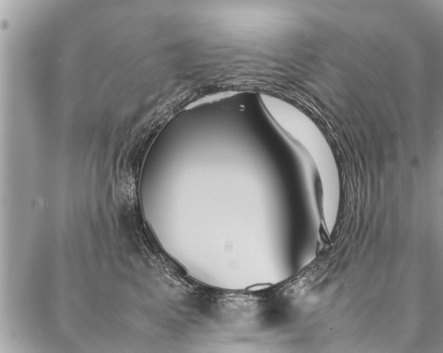 X0000087360617200705041857