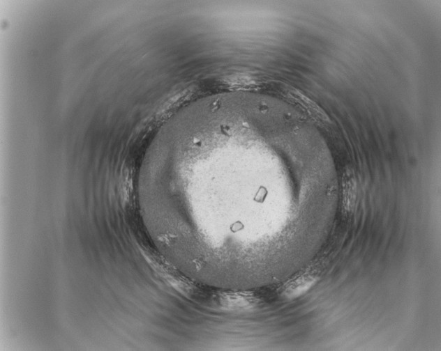 X0000087360618200705041857