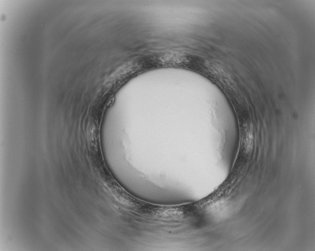 X0000087360619200705041857