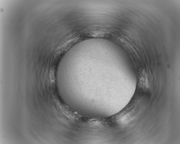 X0000087360620200705041857