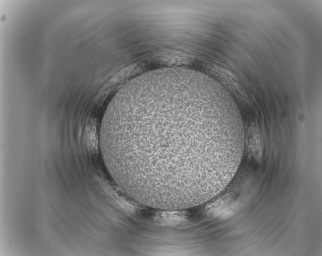 X0000087360622200705041857