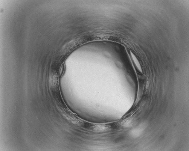 X0000087360623200705041857