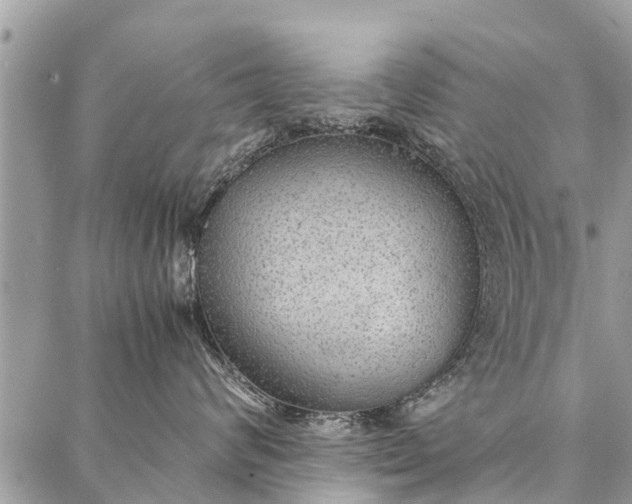 X0000087360624200705041857