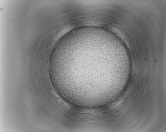 X0000087360625200705041856