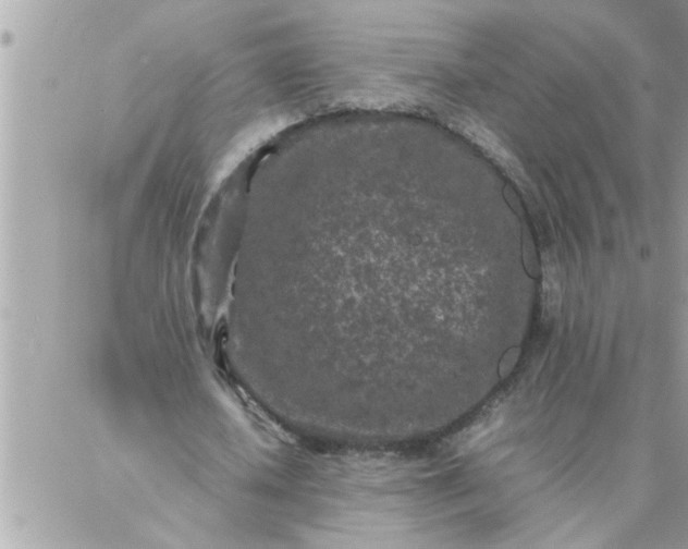 X0000087360626200705041856