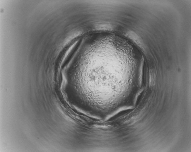 X0000087360627200705041856