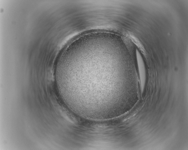 X0000087360628200705041856