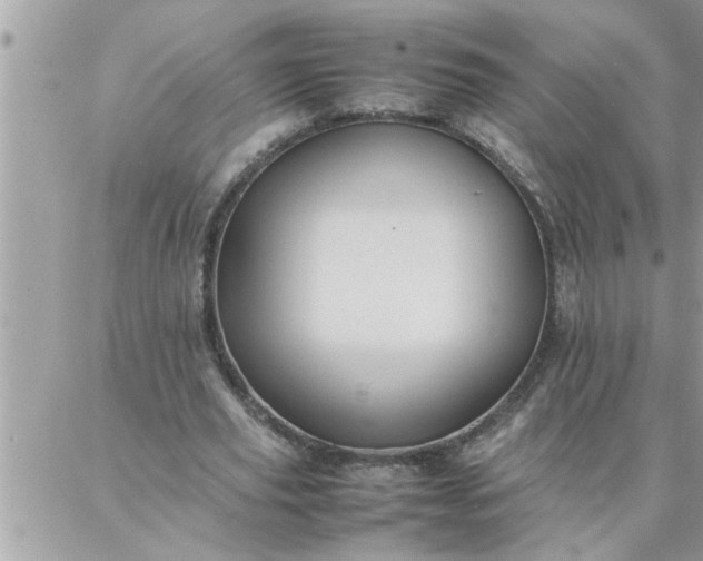 X0000087360629200705041856