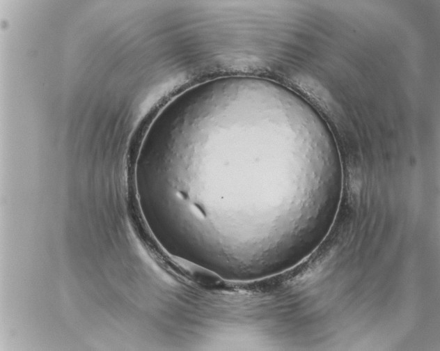 X0000087360630200705041856