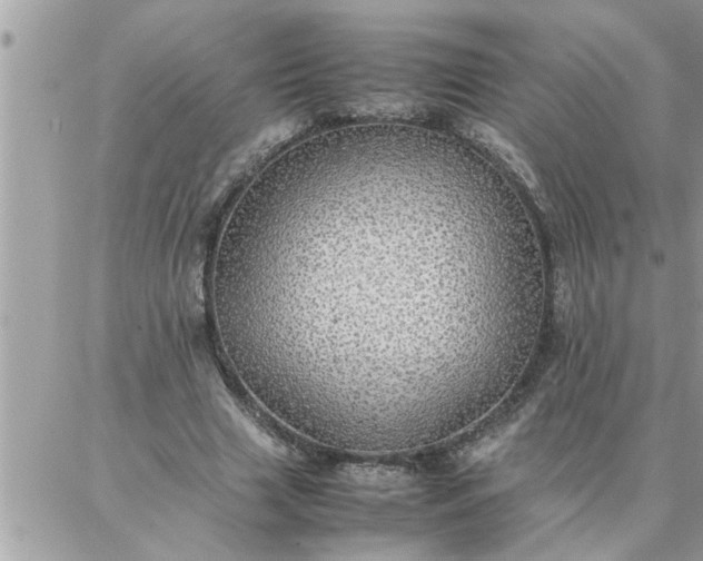 X0000087360633200705041856