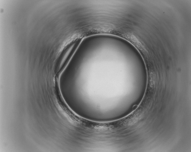 X0000087360634200705041856