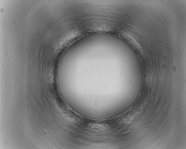 X0000087360635200705041856