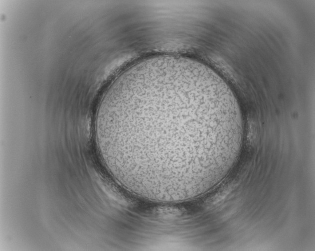 X0000087360636200705041856