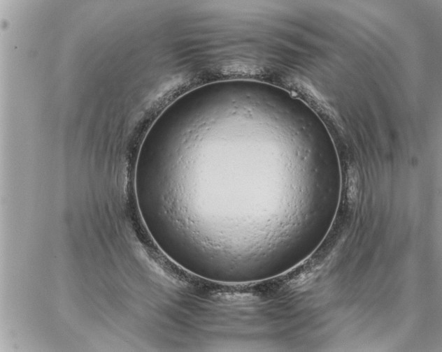 X0000087360637200705041856