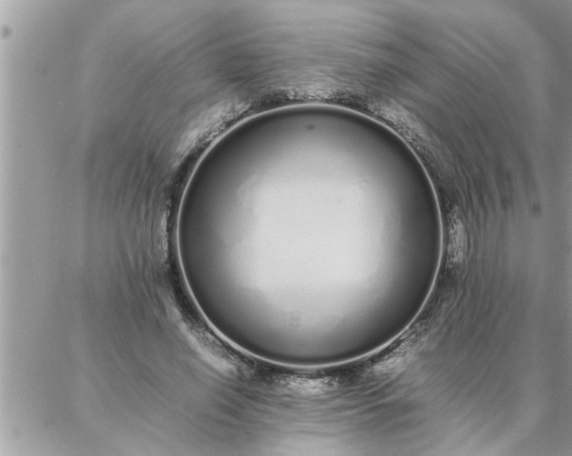 X0000087360638200705041856