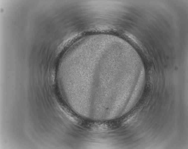 X0000087360640200705041856