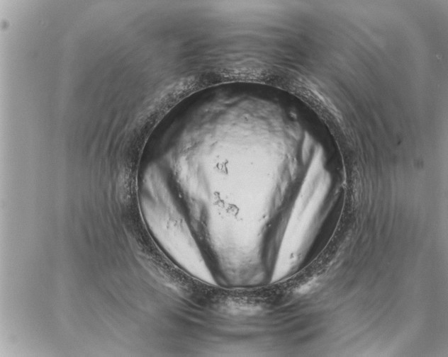 X0000087360641200705041856