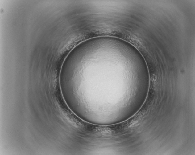 X0000087360642200705041856