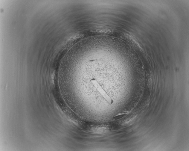 X0000087360643200705041856