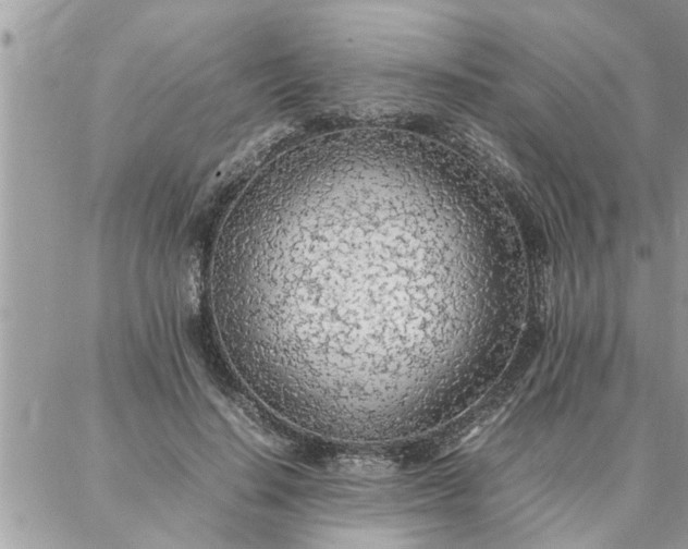 X0000087360644200705041856