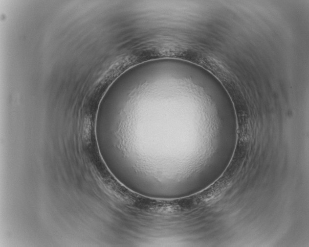 X0000087360646200705041856