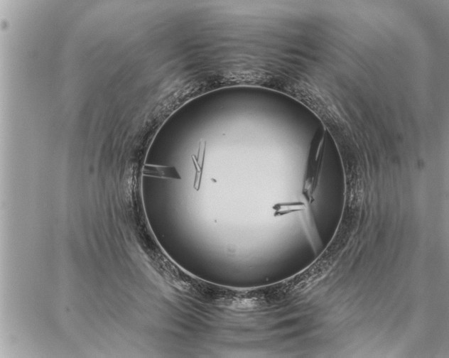 X0000087360647200705041856