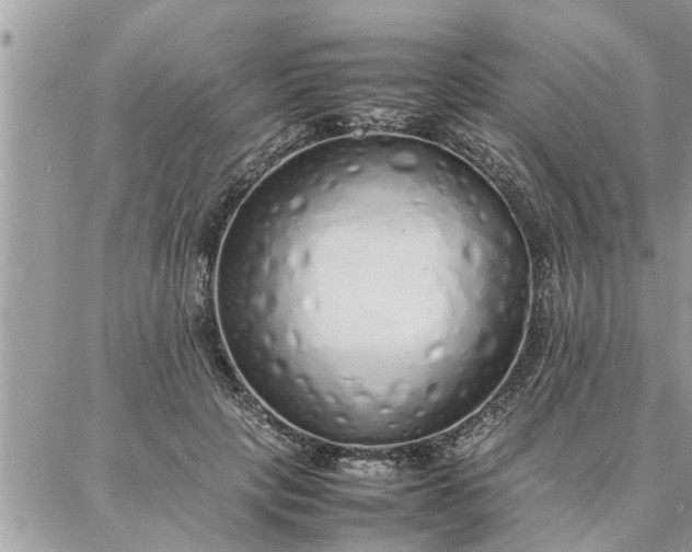 X0000087360649200705041856