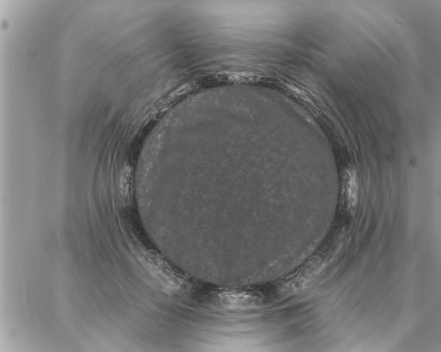 X0000087360650200705041856