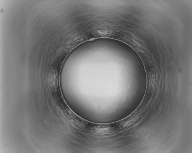 X0000087360651200705041856