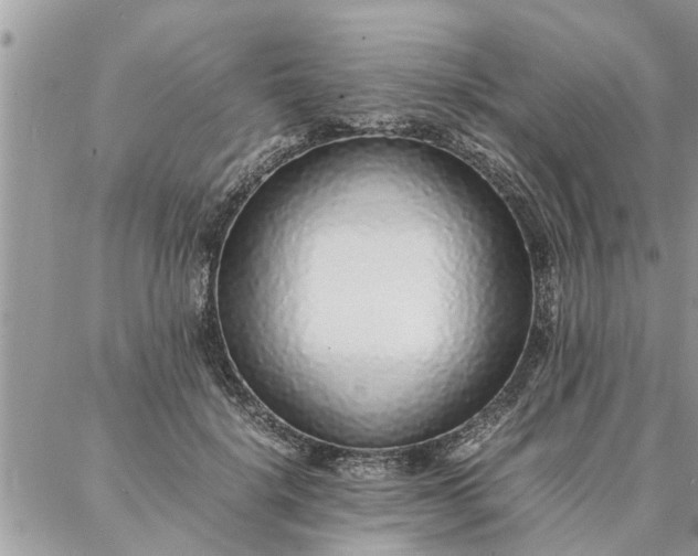 X0000087360652200705041856