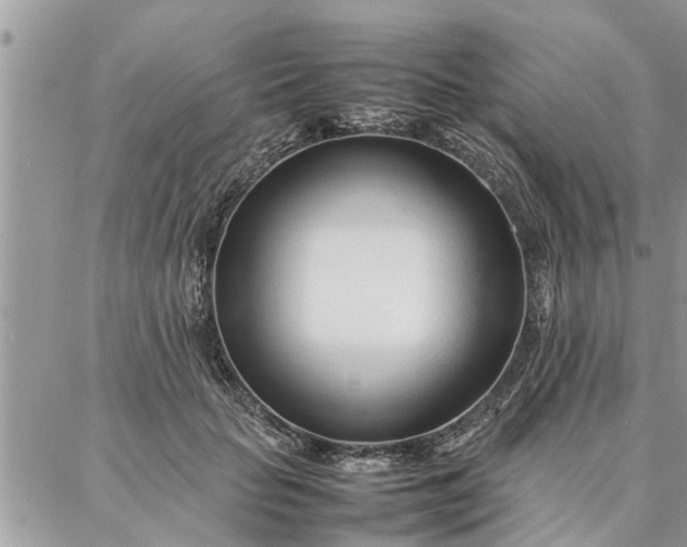 X0000087360653200705041856