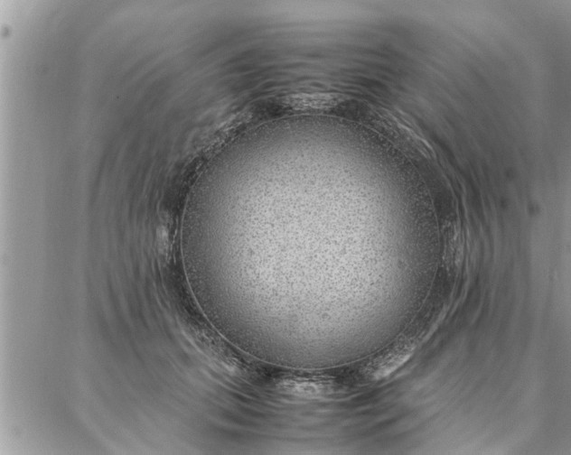 X0000087360655200705041856