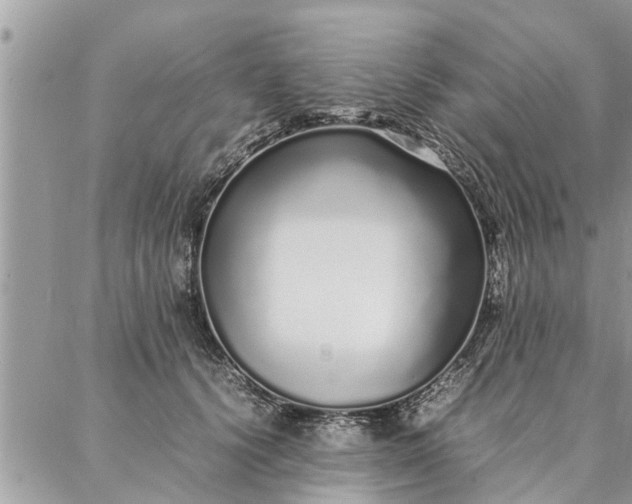 X0000087360656200705041856