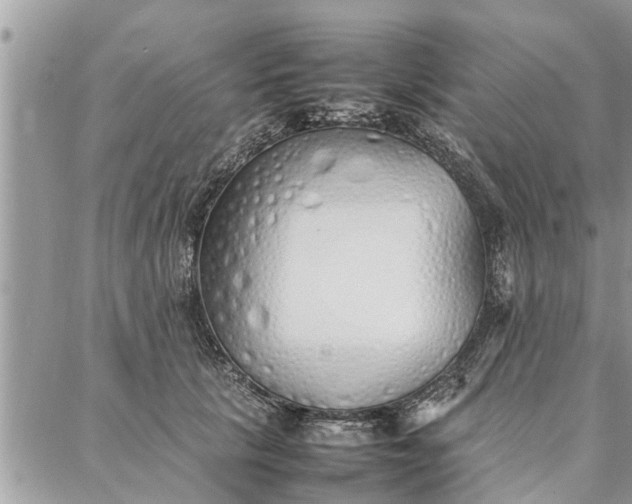 X0000087360657200705041856