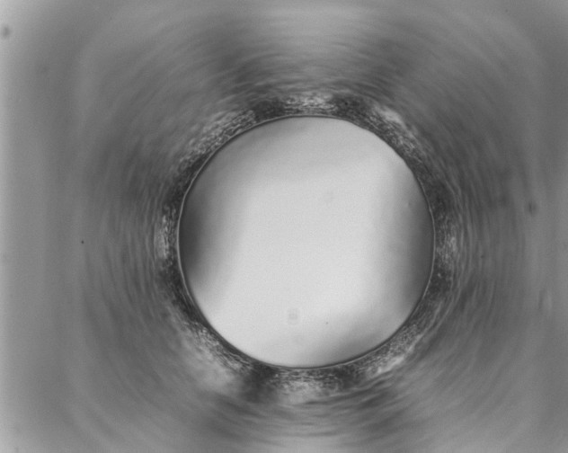 X0000087360658200705041856