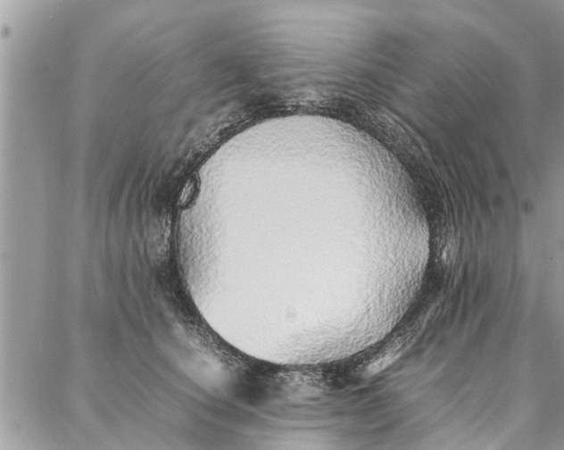 X0000087360660200705041856